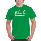 Here For The Shenanigans T-Shirt