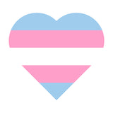 Transgender Pride Flag Heart - Pride Month LGBTQIA Love Identity T-Shirt - White