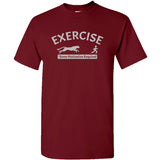 UGP Campus Apparel Exercise Some Motivation Required - Running Training 5K T Shirt