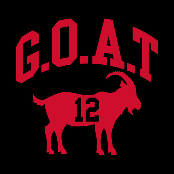 Goat Greatest of All Time Tampa Bay Football T Shirt