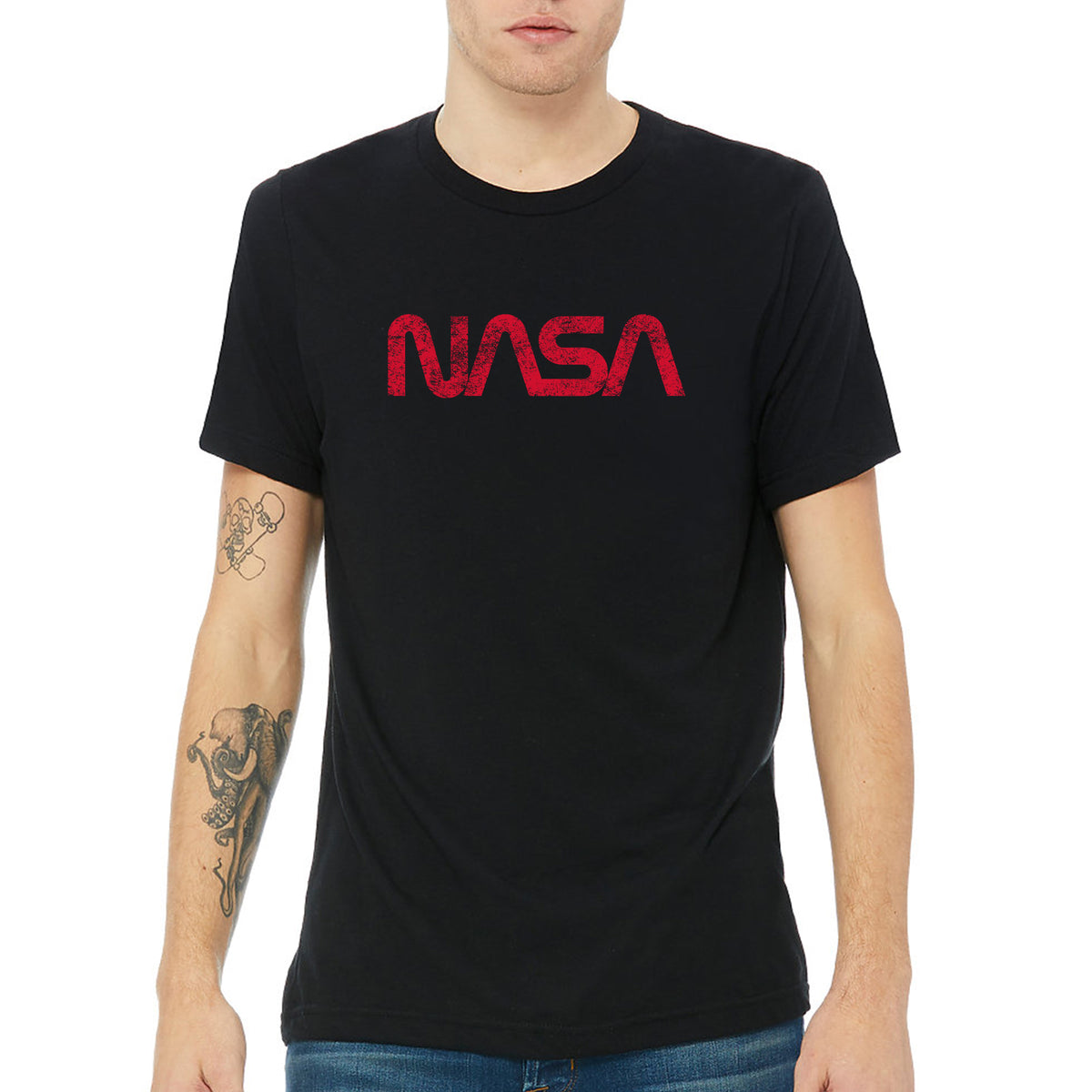 NASA Distressed Worm Logo - National Aeronautics and Space Administrat ...