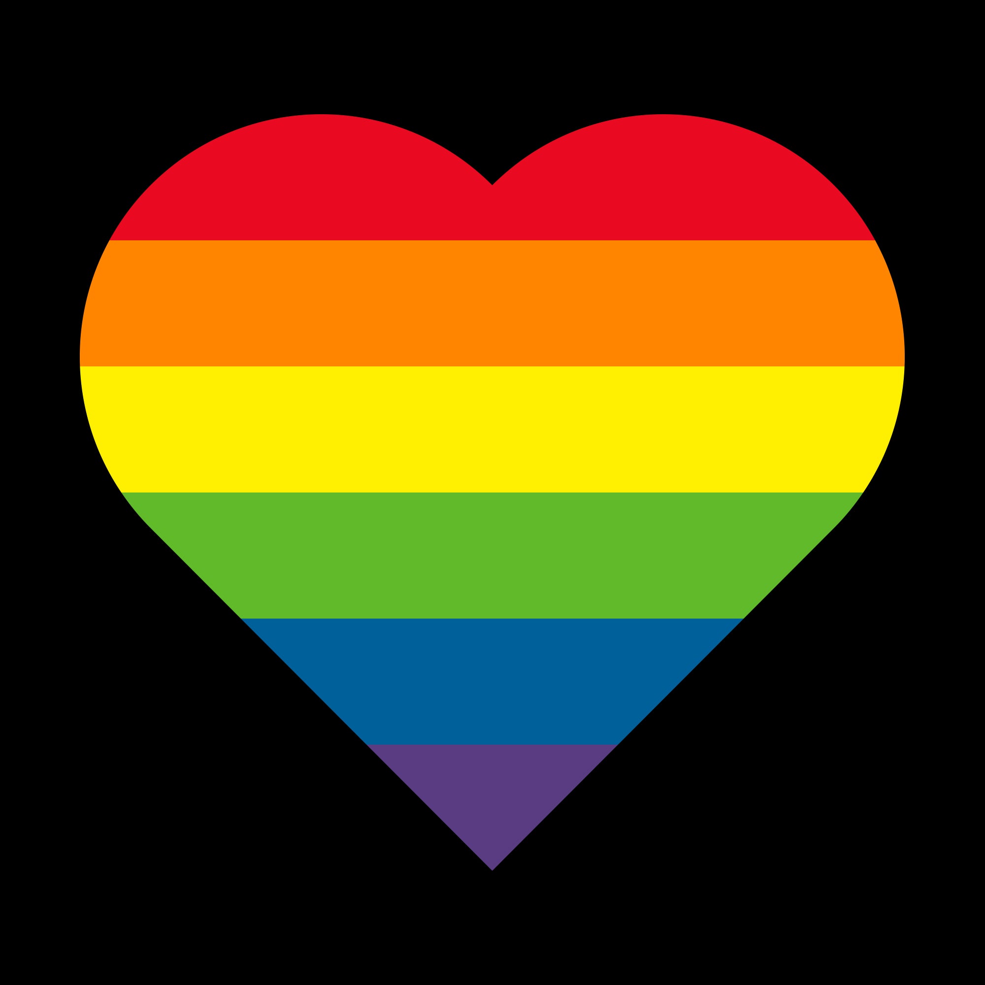 TRIXES Progress Rainbow Flag - LGBTQ+ Pride Flags - Outdoor